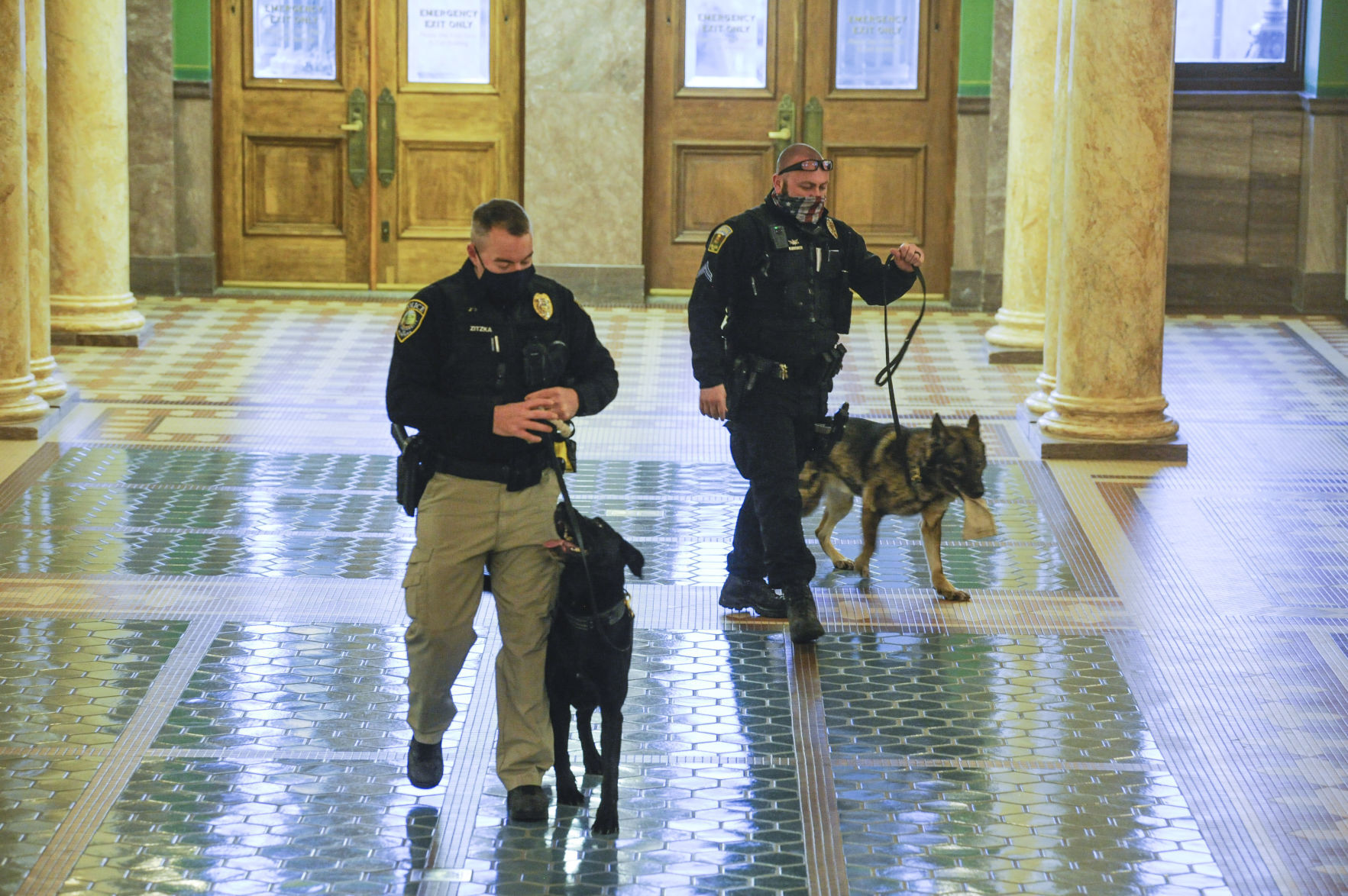 Law enforcement officers with bomb-sniffing dogs